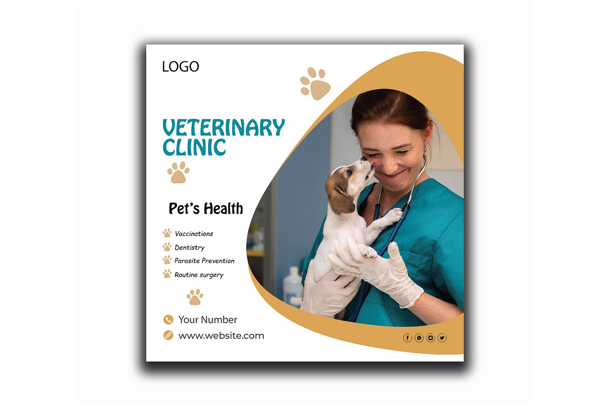 Veterinary Flyer Design Template, a Flyer Template by YUDesignStore (Photo 1 of 6)