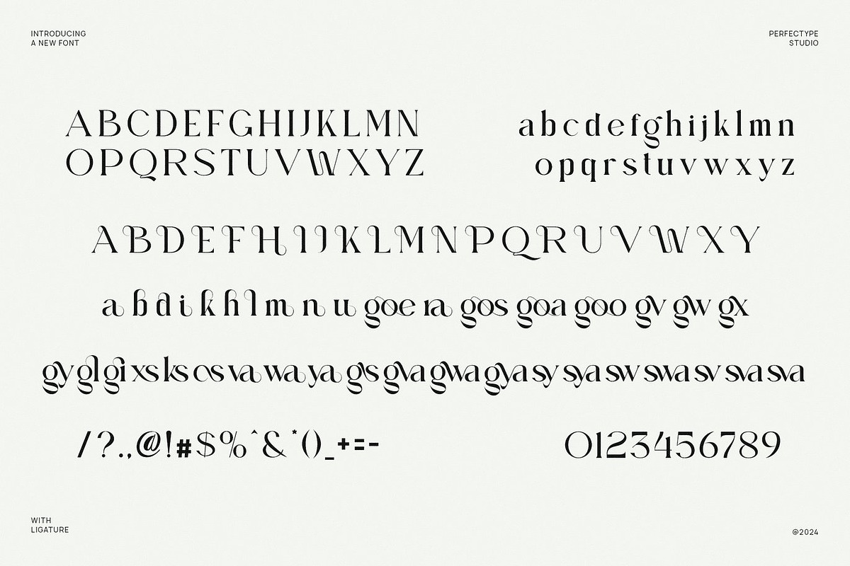 Wildora - Elegant Modern Serif, a Serif Font by Luna Shop (Photo 5 of 6)