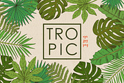 Tropic, an Illustration by Julycolor (Thumbnail 1 of 8)