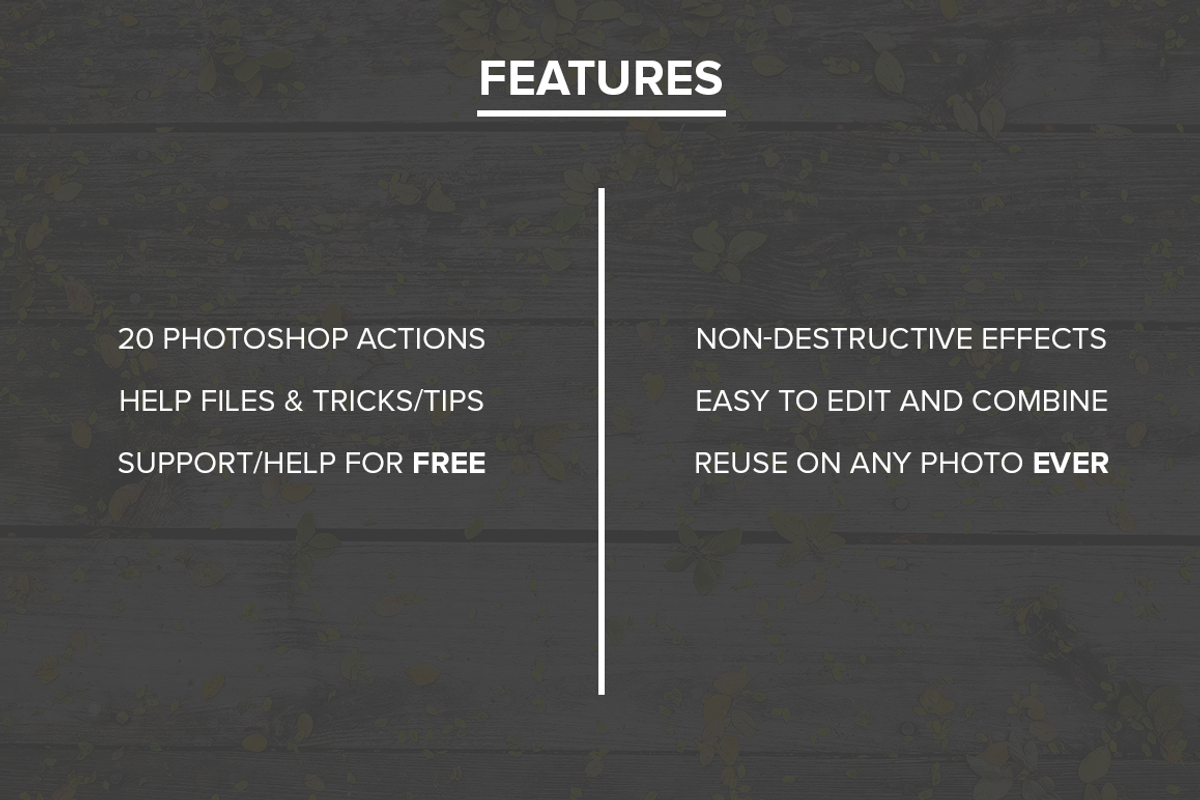 FilterGrade Light & Seasonal Series preview 5