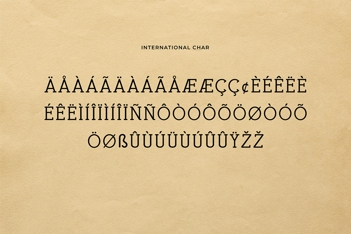 Blackthorn Vintage Serif Font, a Slab Serif Font by UICreative (Photo 2 of 3)