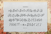 Marelyna Charleya Callighraphy, a Script Font by Denustudios (Thumbnail 10 of 12)