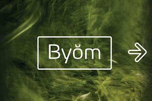 Byom - 4 Fonts 1 Icons Set