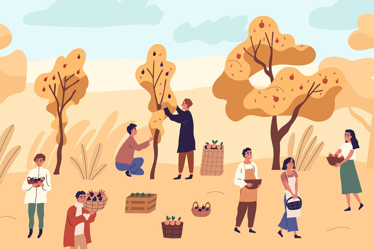 People picking fruits in fall garden, a Person Illustration by Good Studio