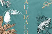 Tropica Collection, a Seasonal Illustration by Michael Rayback Design (Thumbnail 9 of 15)