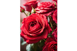 bouquet of beautiful red roses, an Object Illustration by yanadjana