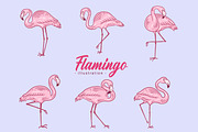 42 Set Cute Flamingo pink Bird, an Animal Illustration by Morspective (Thumbnail 5 of 9)