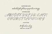 Diamond Beach Handwritten Font, a Font by typeline studio (Thumbnail 5 of 8)