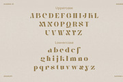 Alesana Atelier, a Sans Serif Font by Zelda Graphic (Thumbnail 5 of 12)