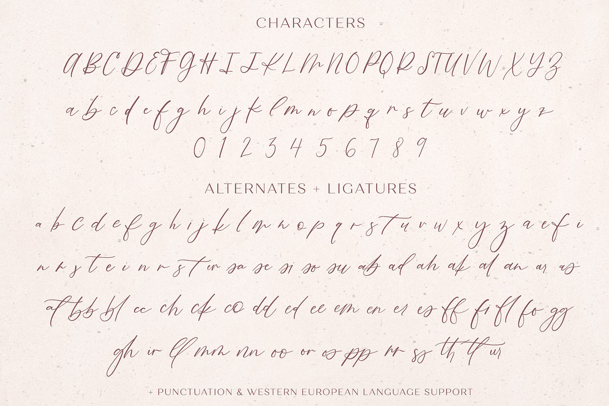 Fall Ember Calligraphy Font, a Script Font by Beck McCormick (Photo 11 of 11)