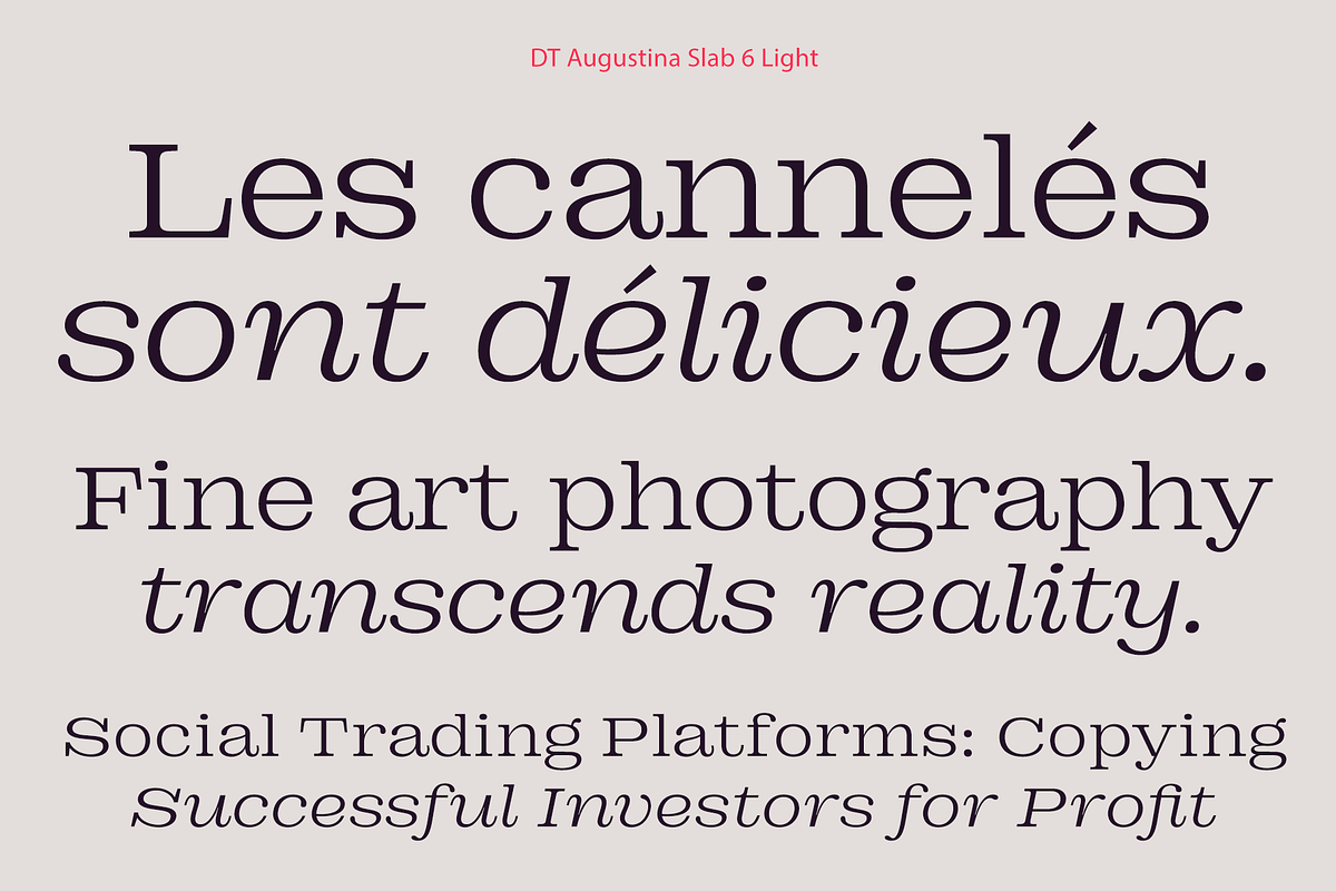 DT Augustina Slab 6 Subfamily, a Slab Serif Font by Deveze Type Foundry (Photo 5 of 30)