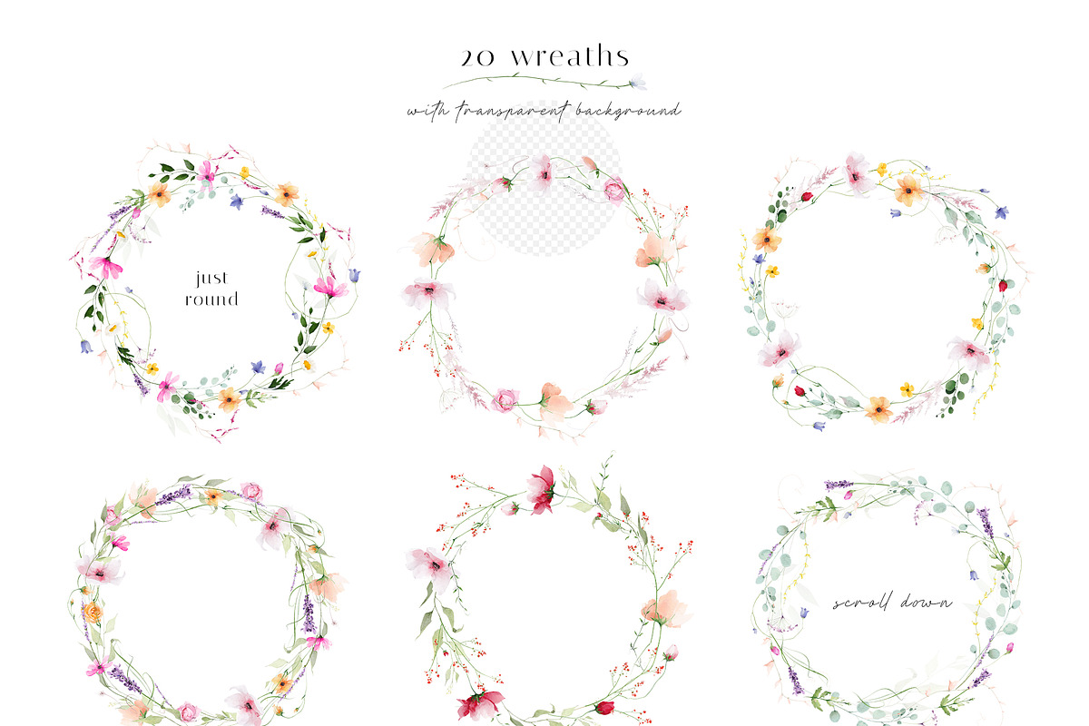 RAINBOW PLANTS bright flower set, a Decorative Illustration by Khrys.art (Photo 9 of 13)