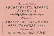 Lava de Vie outline handwritten font, a Handwritten Font by TD fonts (Thumbnail 7 of 10)
