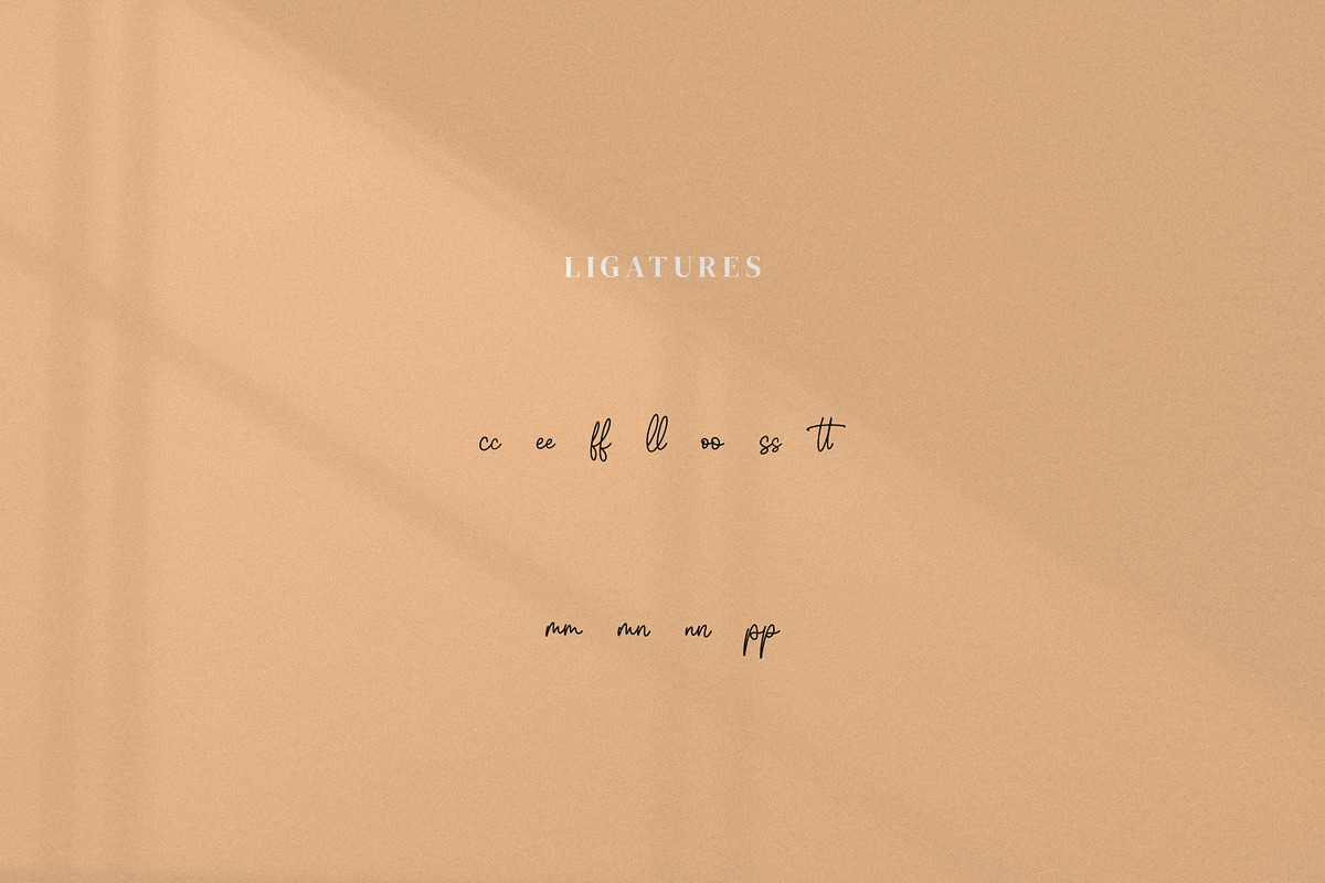Whitteney, a Script Font by Integritype Studio (Photo 11 of 15)
