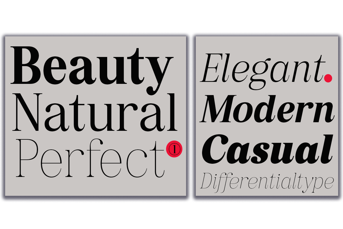 Pujarelah - Serif Family Font, a Serif Font by Differentialtype (Photo 10 of 13)