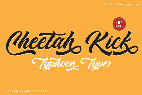 Cheetah Kick font preview 3