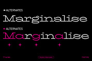 TT Globs, a Slab Serif Font by TypeType (Thumbnail 15 of 15)