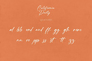 California Party, a Handwritten Font by CreateBigSupply (Thumbnail 8 of 10)