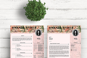 Flamingo CV / Resume Template / N