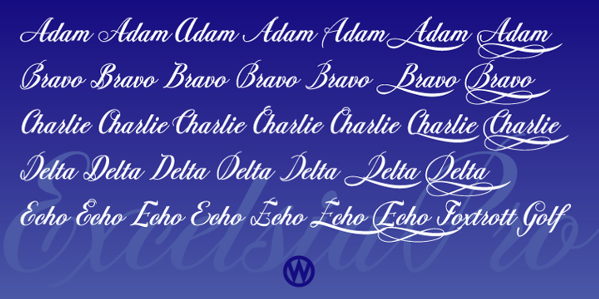 Excelsia Pro, a Script Font by Wiescher-Design (Photo 6 of 11)