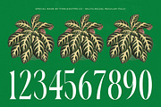 Questing Silver Modern Serif, a Serif Font by timelesstype.co (Thumbnail 17 of 20)