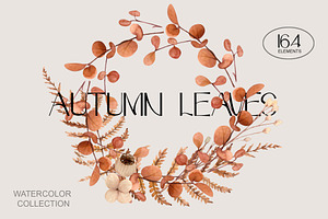 Autumn Leaves Set Illustrations