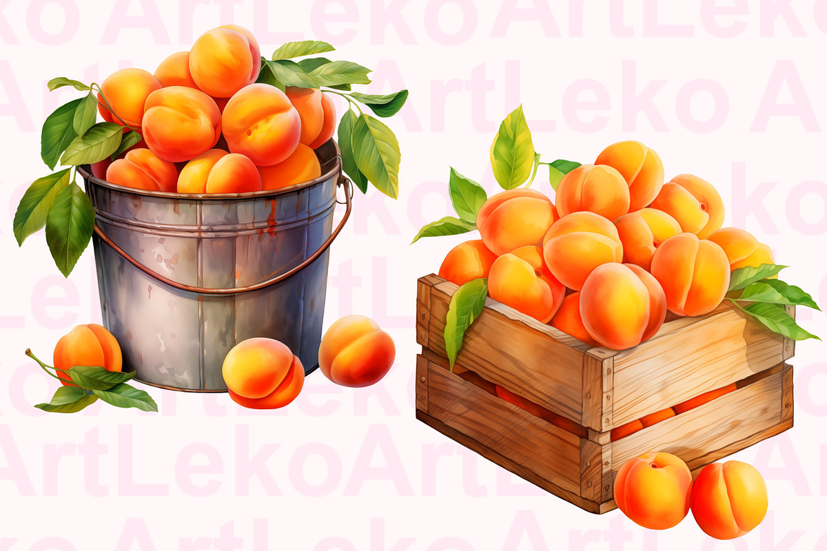 Apricots Watercolor Clipart, a Food Illustration by LekoArt (Photo 6 of 10)