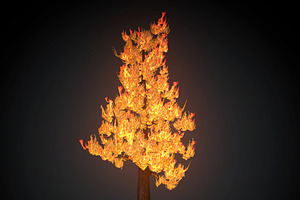 Burning Tree Big