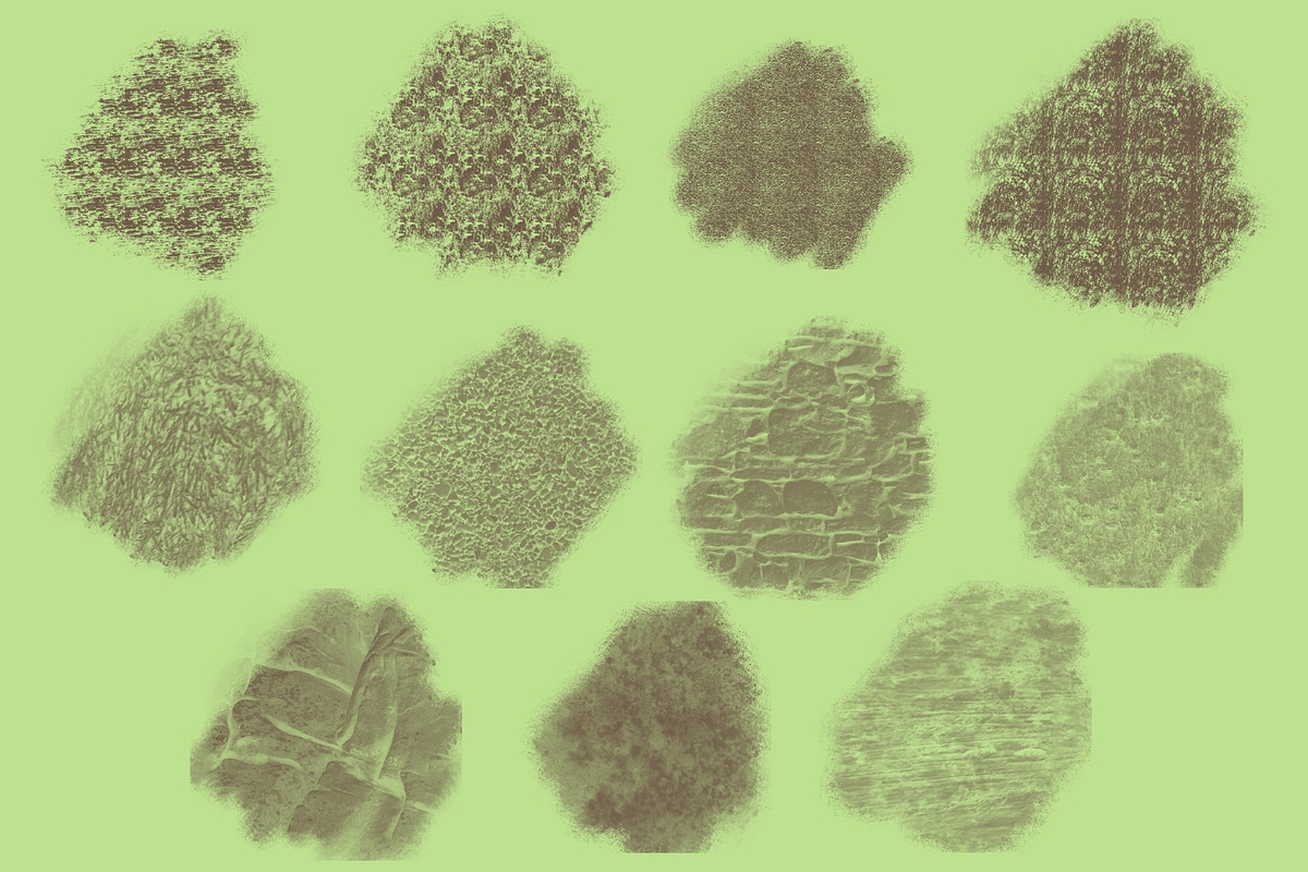Real and Wild Procreate Brushes, a Brush Add-On by Elatedowl (Photo 3 of 5)