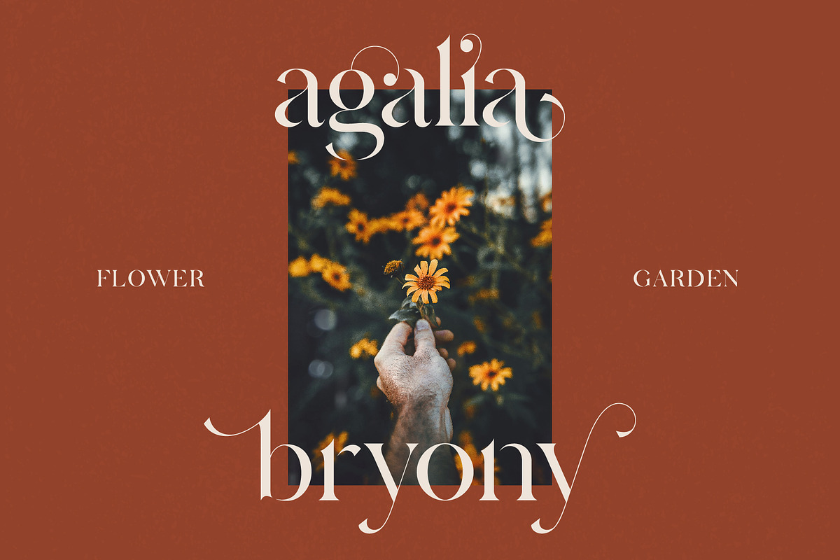 Hermione Font Free Downloadv - UIFreebies