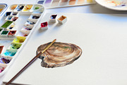 Watercolor Cut Tree Vector Set, a Pattern Graphic by Deckar_art (Thumbnail 3 of 3)