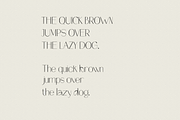 Lindsey - Modern Stylish Font, a Sans Serif Font by Product Experience (Thumbnail 7 of 8)