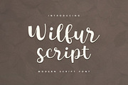 Font & Graphic Bundle - 95% off, a Script Font by vuuuds (Thumbnail 23 of 33)