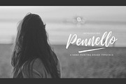 Pennello Script, a Script Font by QueenType (Thumbnail 1 of 10)