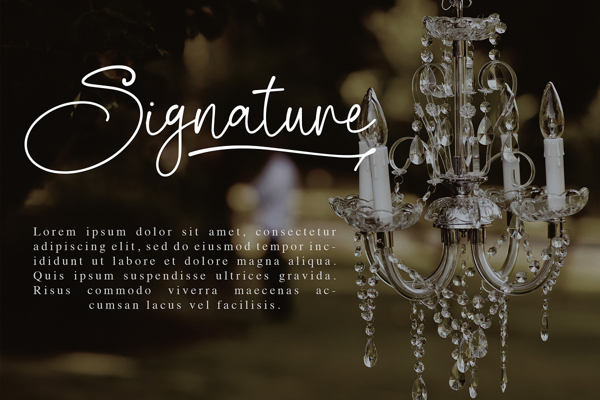 Biegen Stinger - Script Font, a Script Font by NTC Graphic (Photo 4 of 9)