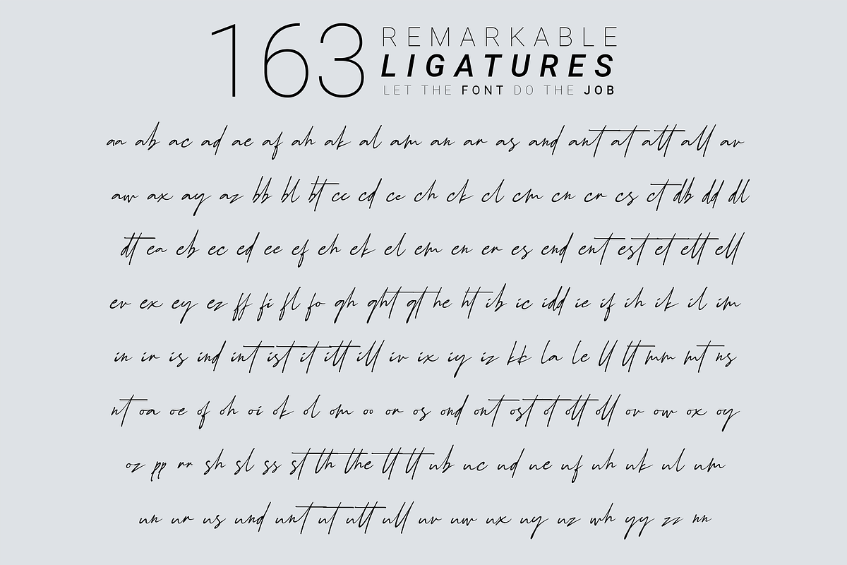 Schrödinger's | Signature Font, a Script Font by Ardana Creative (Photo 10 of 12)