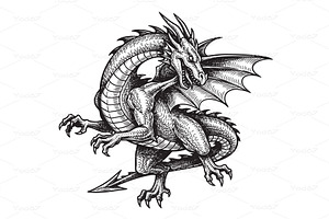 Fierce European dragon sketch, an Animal Illustration by yod67