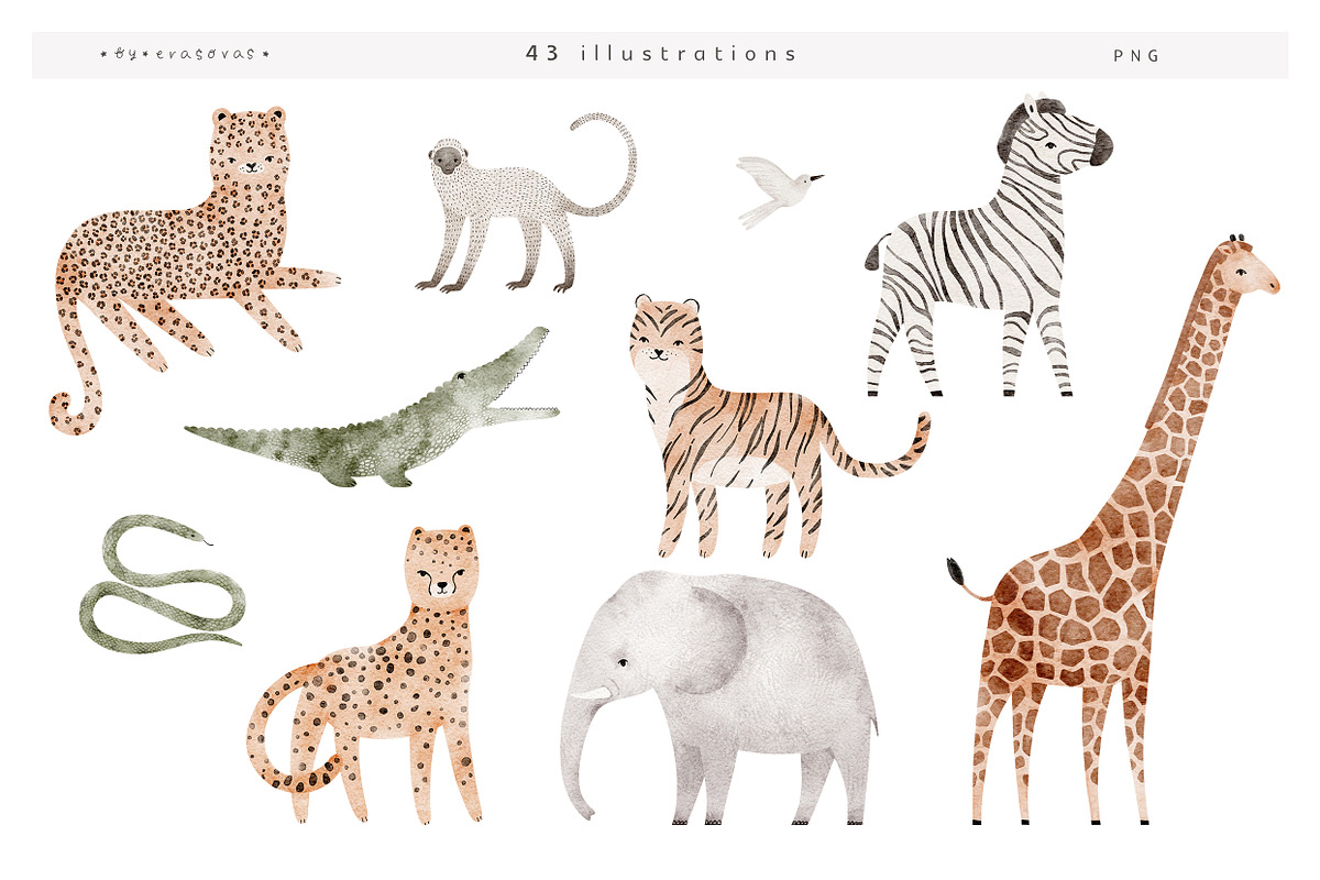 WILD illustrations&patterns, an Animal Illustration by erasovas (Photo 3 of 10)