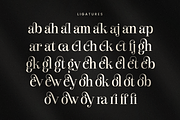 Branck - Modern Luxury Logo Font, a Serif Font by Sensatype (Thumbnail 11 of 12)