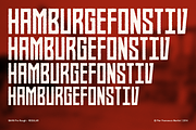 BAHN Pro Rough - REGULAR, a Sans Serif Font by MARTINI Type Designer (Thumbnail 2 of 5)