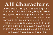 Rayken Rough, a Serif Font by Craft Supply Co. (Thumbnail 8 of 8)