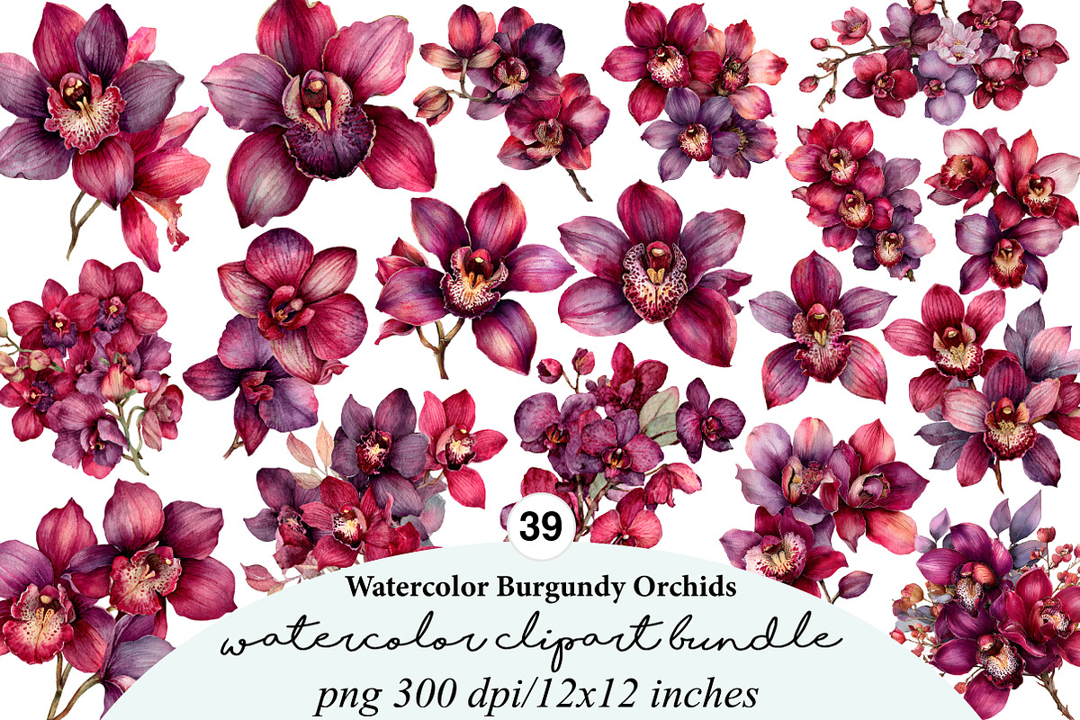 Watercolor Burgundy Orchids Clipart, an Illustration by Digital Artistic99 (Photo 1 of 9)