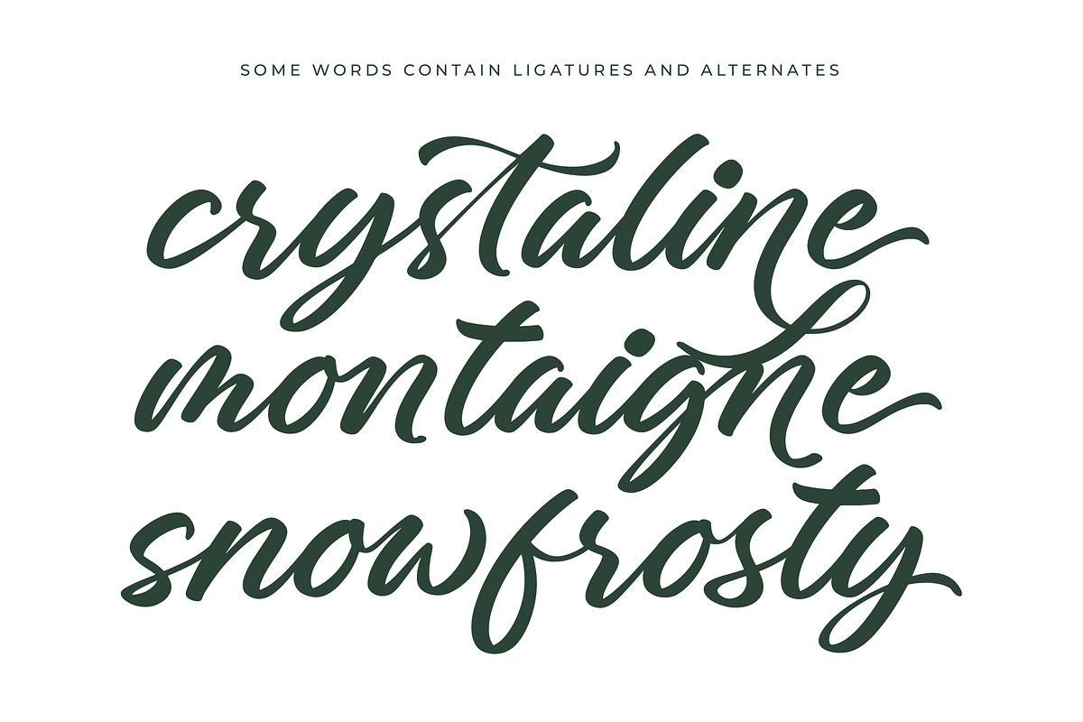 Charity Thomas Bold Calligraphy, a Script Font by stylishtype.co (Photo 13 of 20)
