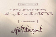 Filladelphia - Beautiful Script, a Script Font by Dirtytemp Studio (Thumbnail 10 of 10)