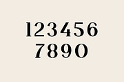 Chic Royale Classy Serif Font, a Serif Font by UICreative (Thumbnail 3 of 12)