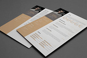 Resume/CV, a Resume Template by UX-group (Thumbnail 4 of 7)