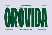 Grovida - Retro Bold Condensed Sans, a Sans Serif Font by Typia Nesia (Thumbnail 1 of 12)