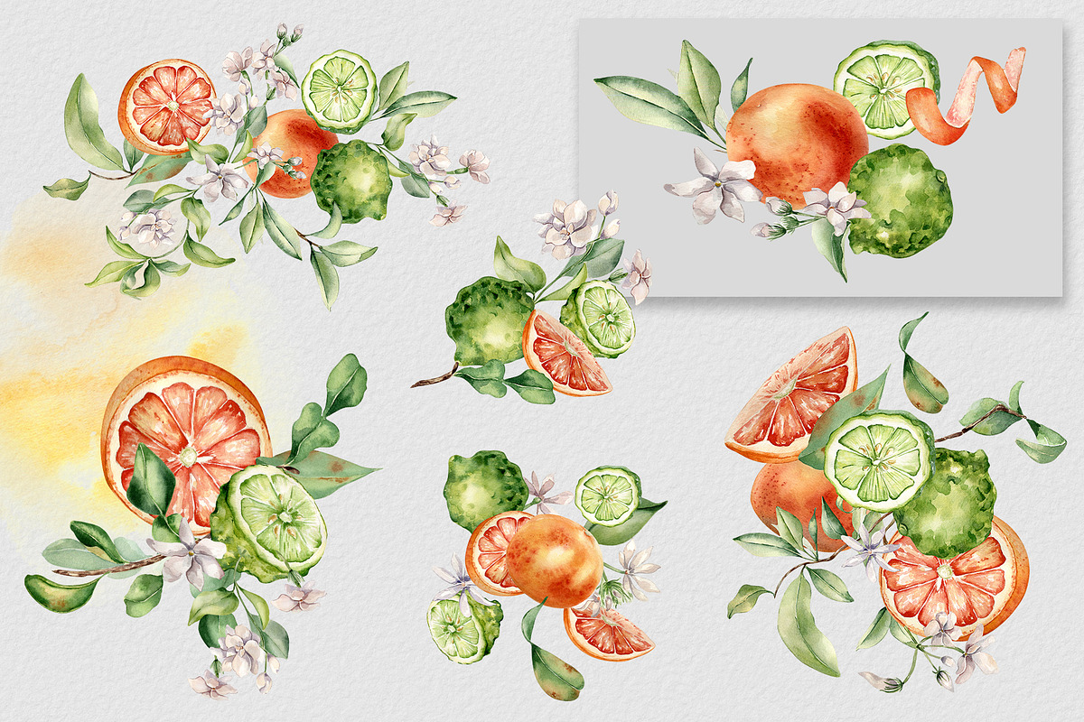 Citrus fruits and flower watercolor, a Decorative Illustration by Kate Lanbina (Photo 4 of 20)
