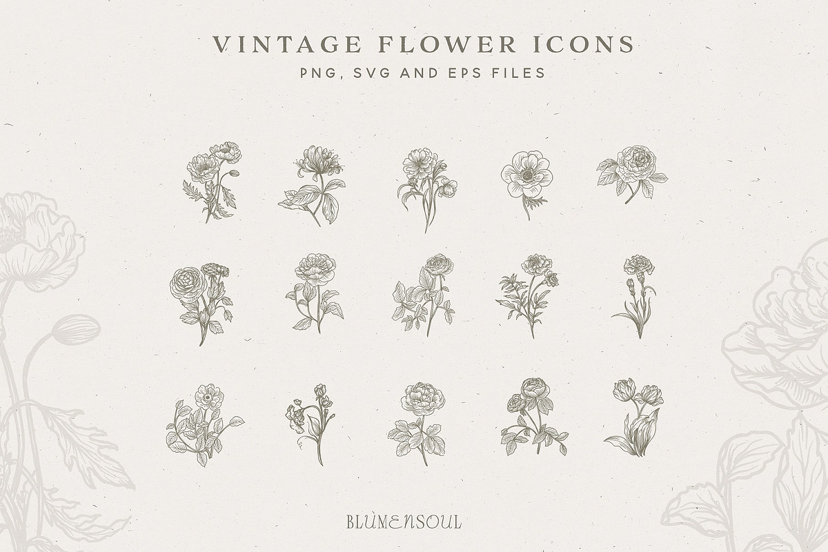 Vintage Flower Icons - Logo Elements, an Illustration by BlumenSoul (Photo 2 of 7)