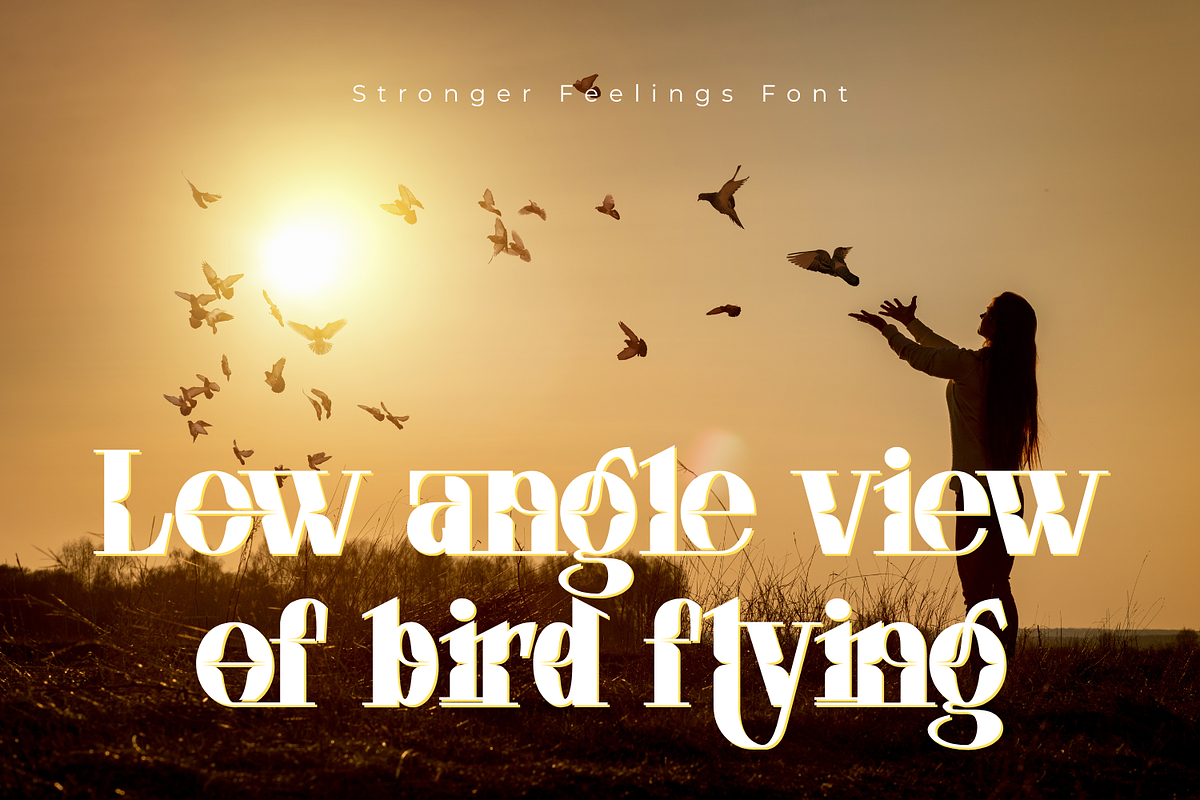 Stronger Feelings Font, a Serif Font by 177Studio (Photo 4 of 9)